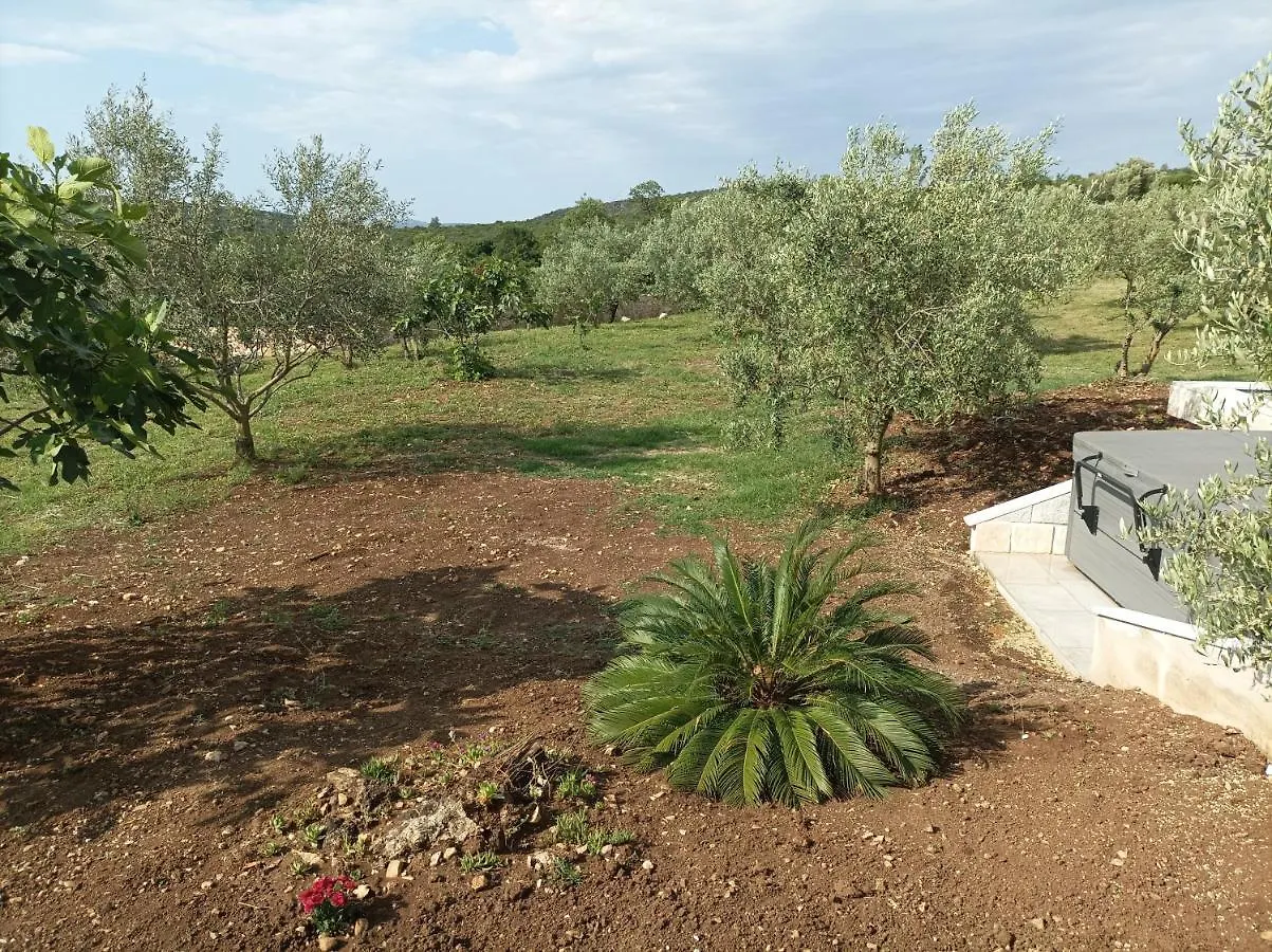 New 2023 Villa Tree Of Life Sveti Petar