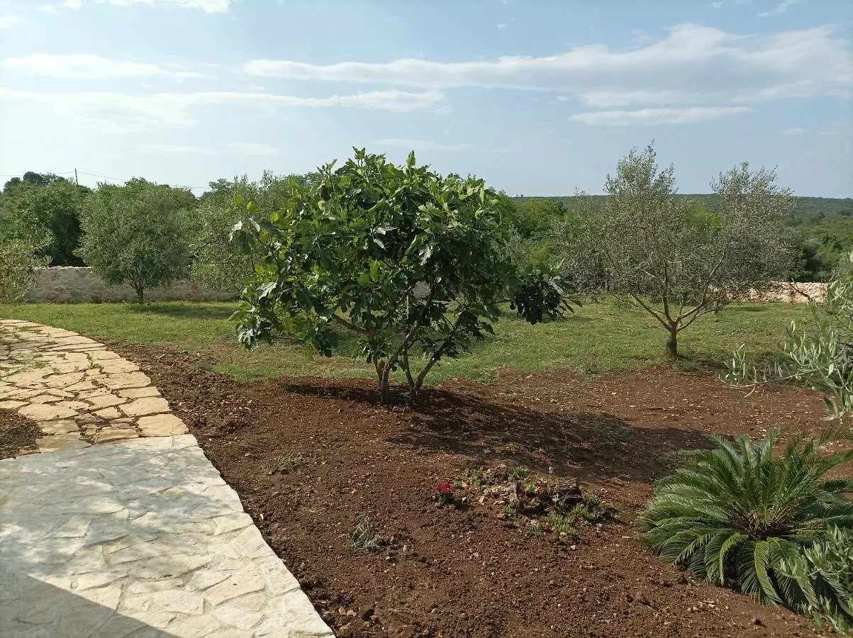 New 2023 Villa Tree Of Life Sveti Petar