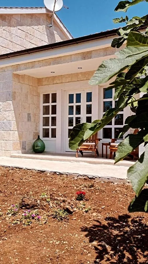 New 2023 Villa Tree Of Life Sveti Petar