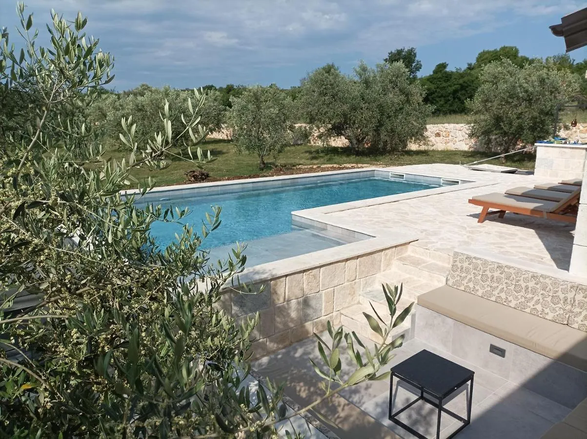 New 2023 Villa Tree Of Life