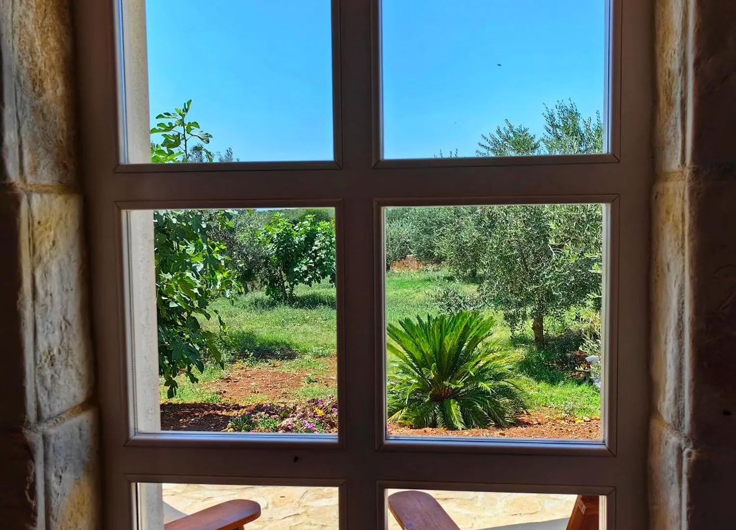 New 2023 Villa Tree Of Life 0*, Sveti Petar (Zadar)
